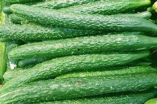 河北瓜最新爆料,揭秘背后惊人真相